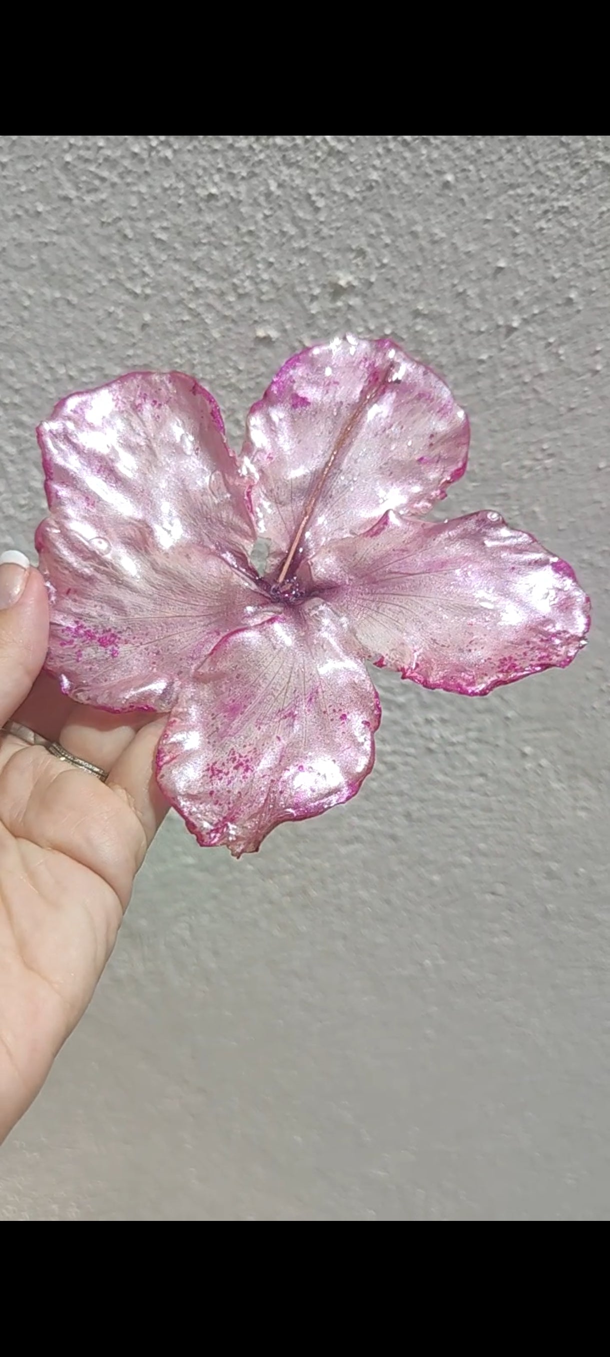 Clip de pelo de hibisco real en resina. Horquilla de pelo de hibisco auténtico. Accesorios para el pelo. Accesorio floral boho para cabello, ideal para bodas, verano y estilo.