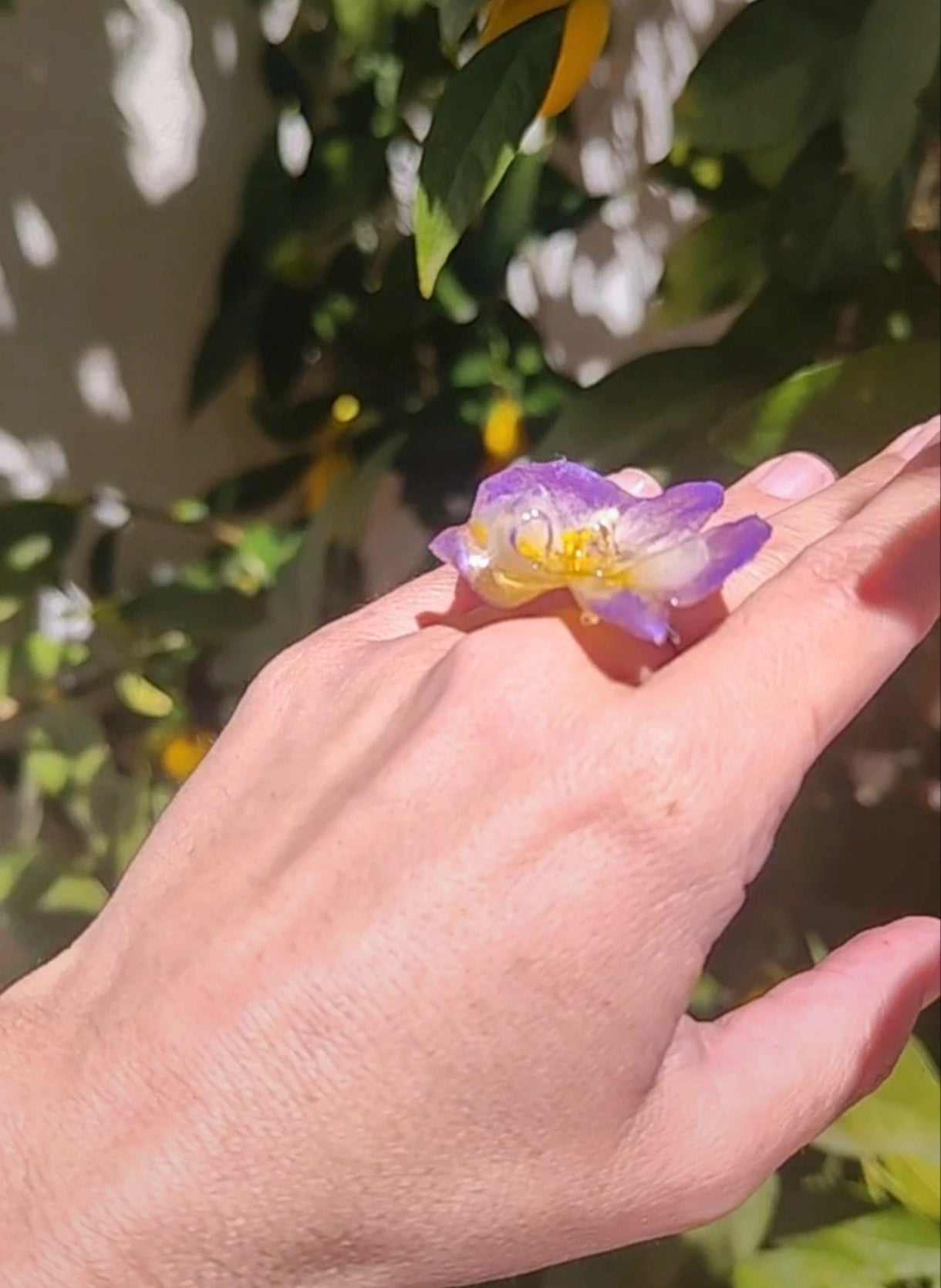 Anillo de orquídea real resinada