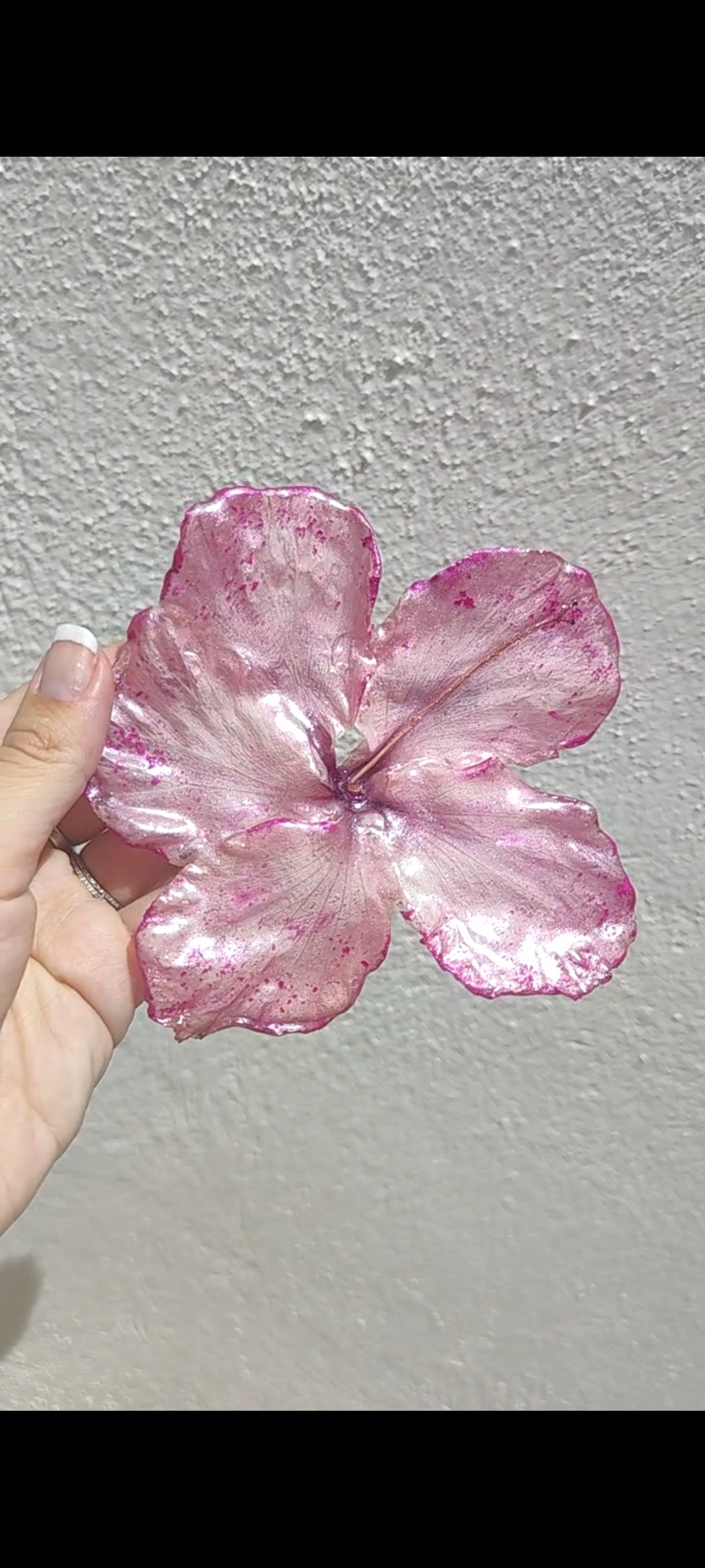 Clip de pelo de hibisco real en resina. Horquilla de pelo de hibisco auténtico. Accesorios para el pelo. Accesorio floral boho para cabello, ideal para bodas, verano y estilo.