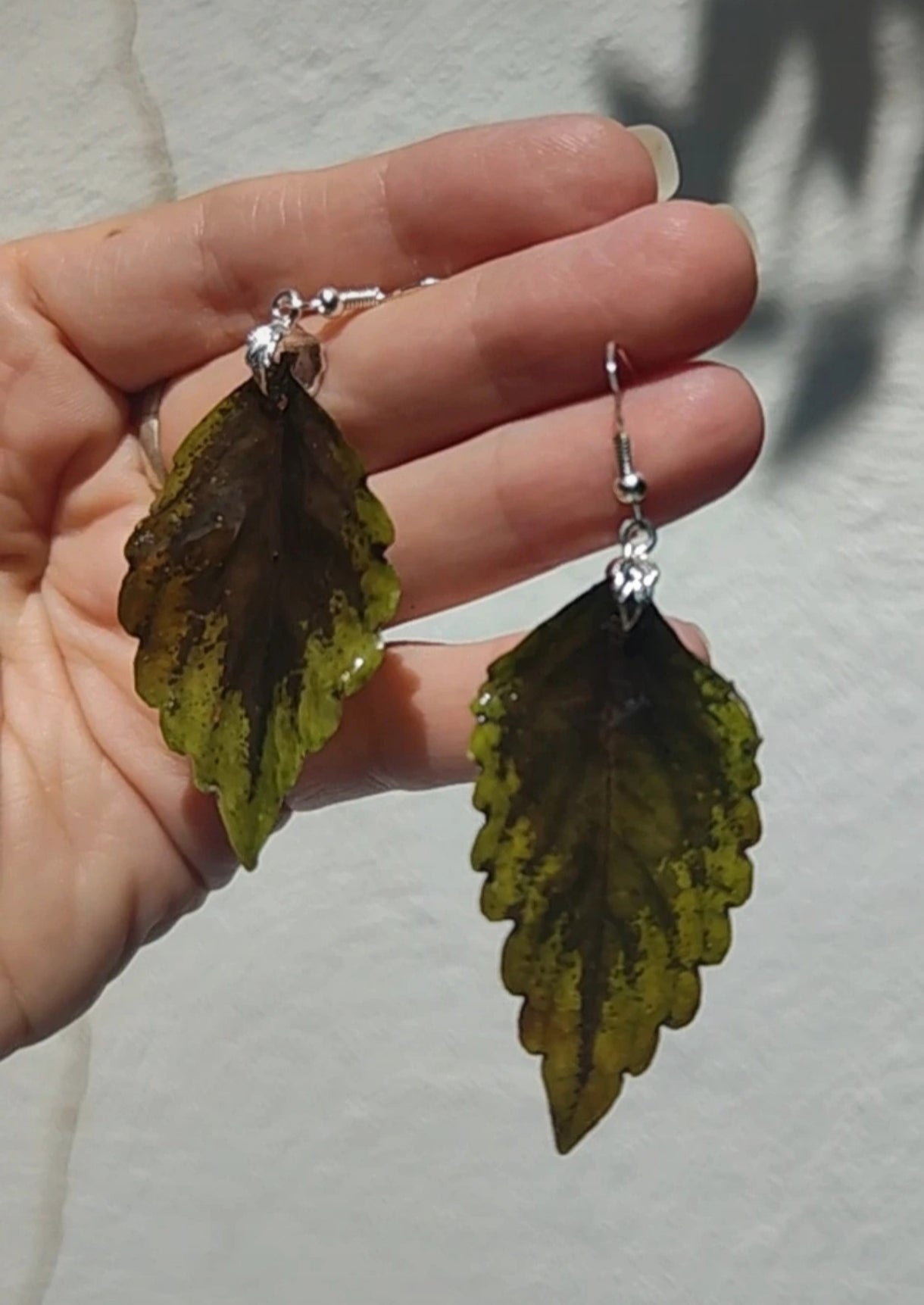 Pendientes colgantes artesanos. Hojas reales de coleo preservadas con enganche hipoalergénico