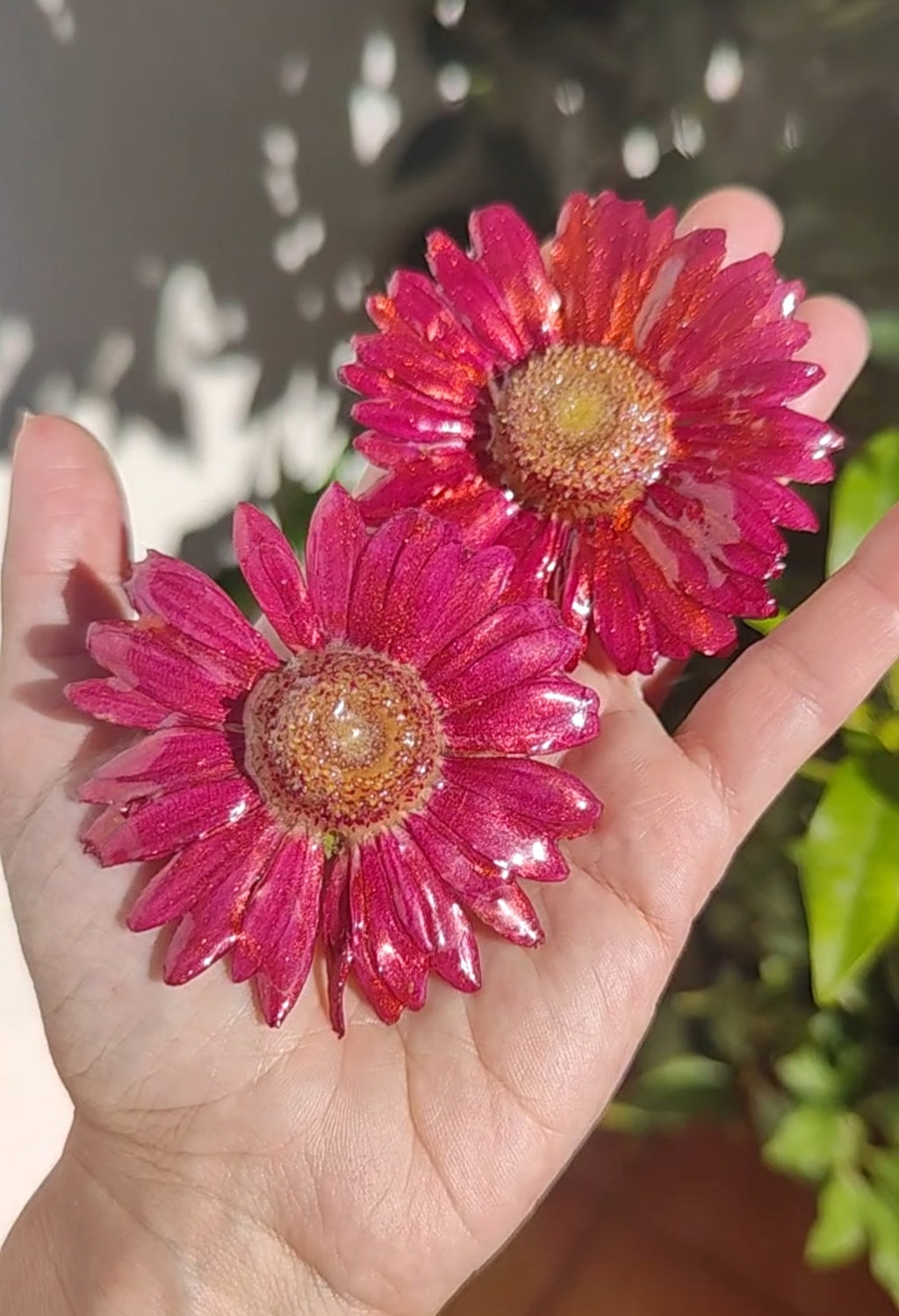 Real red Gerbera Flower Earrings. Handmade Resin Jewelry, Pressed Flowers, Botanical Floral Earrings Gift