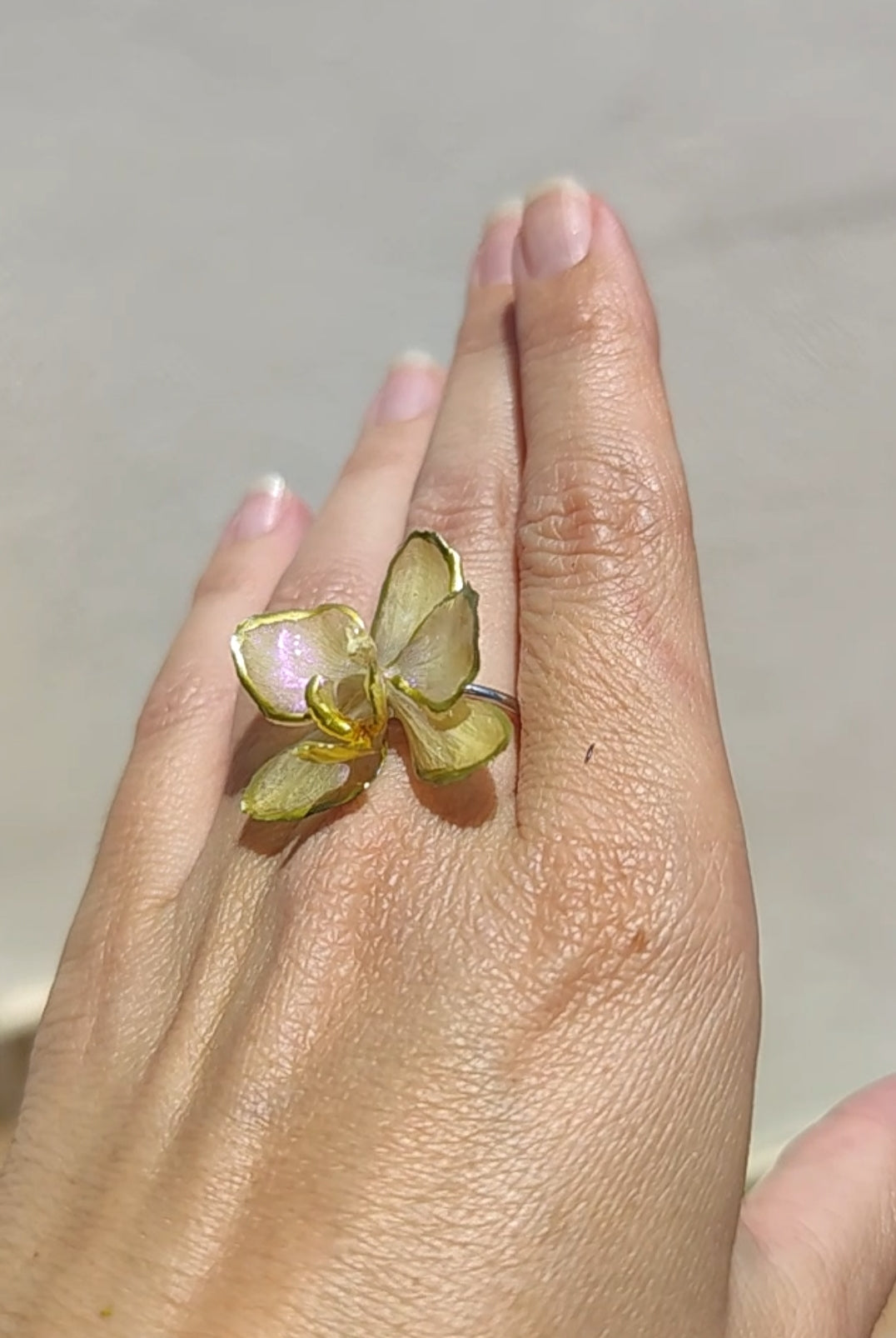 Anillo de orquídea real resinada
