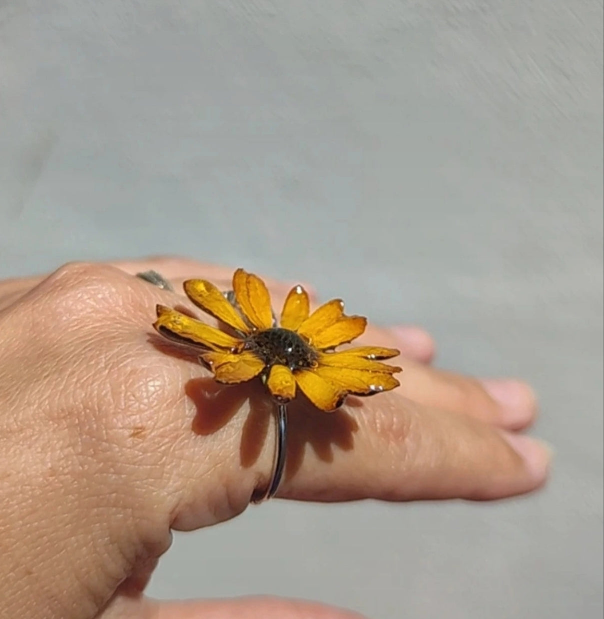 Anillo de margarita real resinada