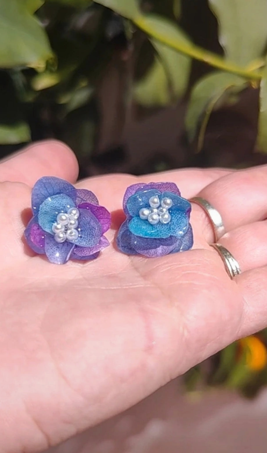 Pendientes de hortensia bicolor real resinada