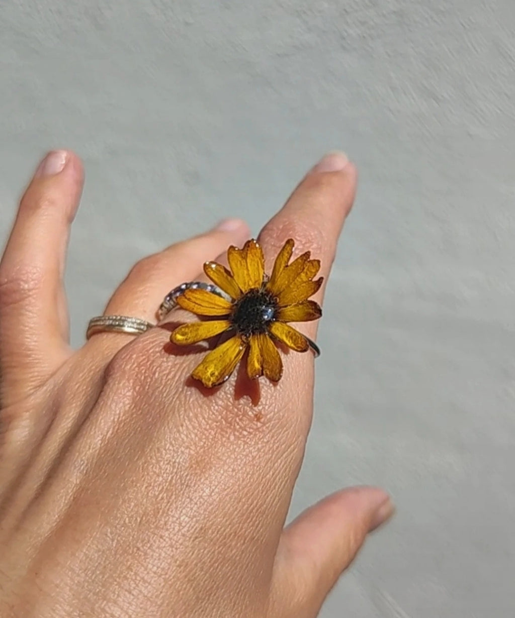 Anillo de margarita real resinada