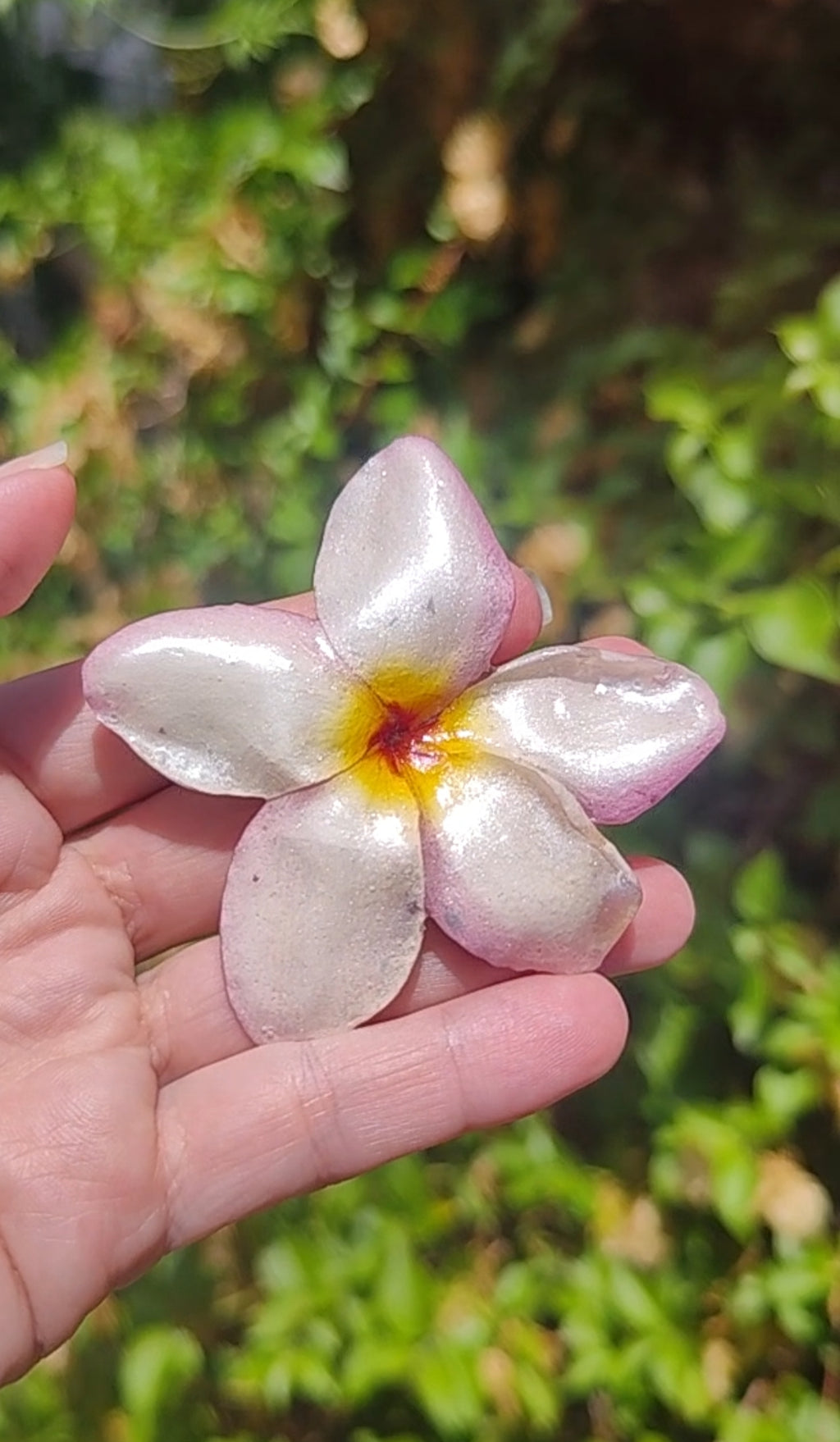 Clip de pelo de flor de mayo o plumeria en resina