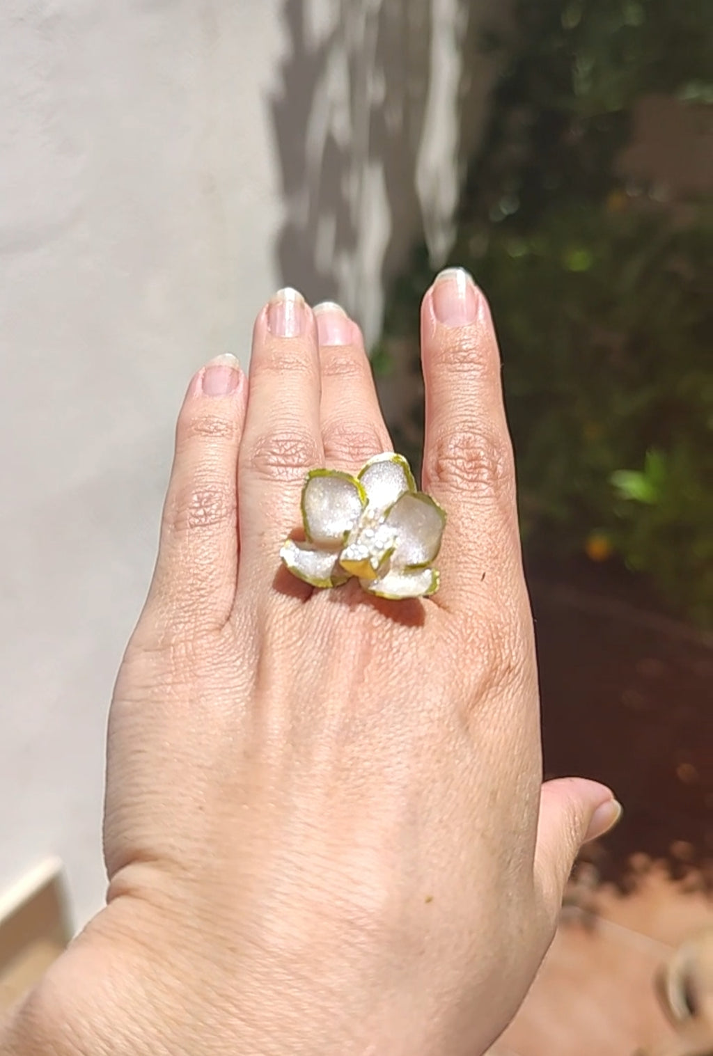 Anillo de mini orquídea real resinada