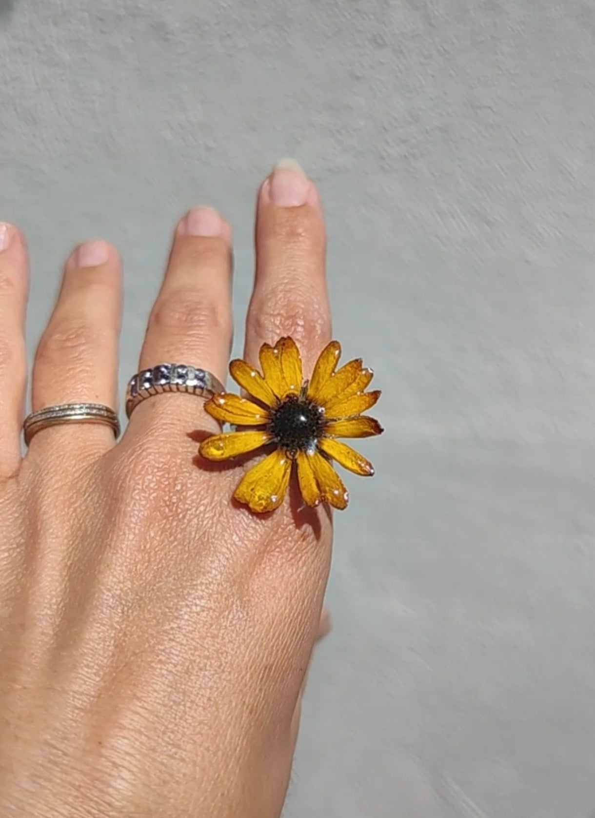 Anillo de margarita real resinada