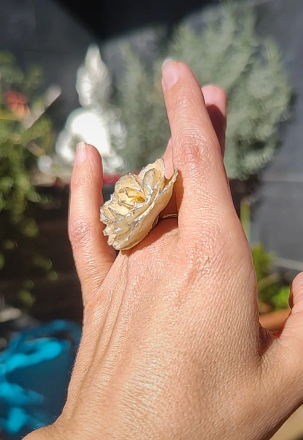 Anillo de rosa real resinada