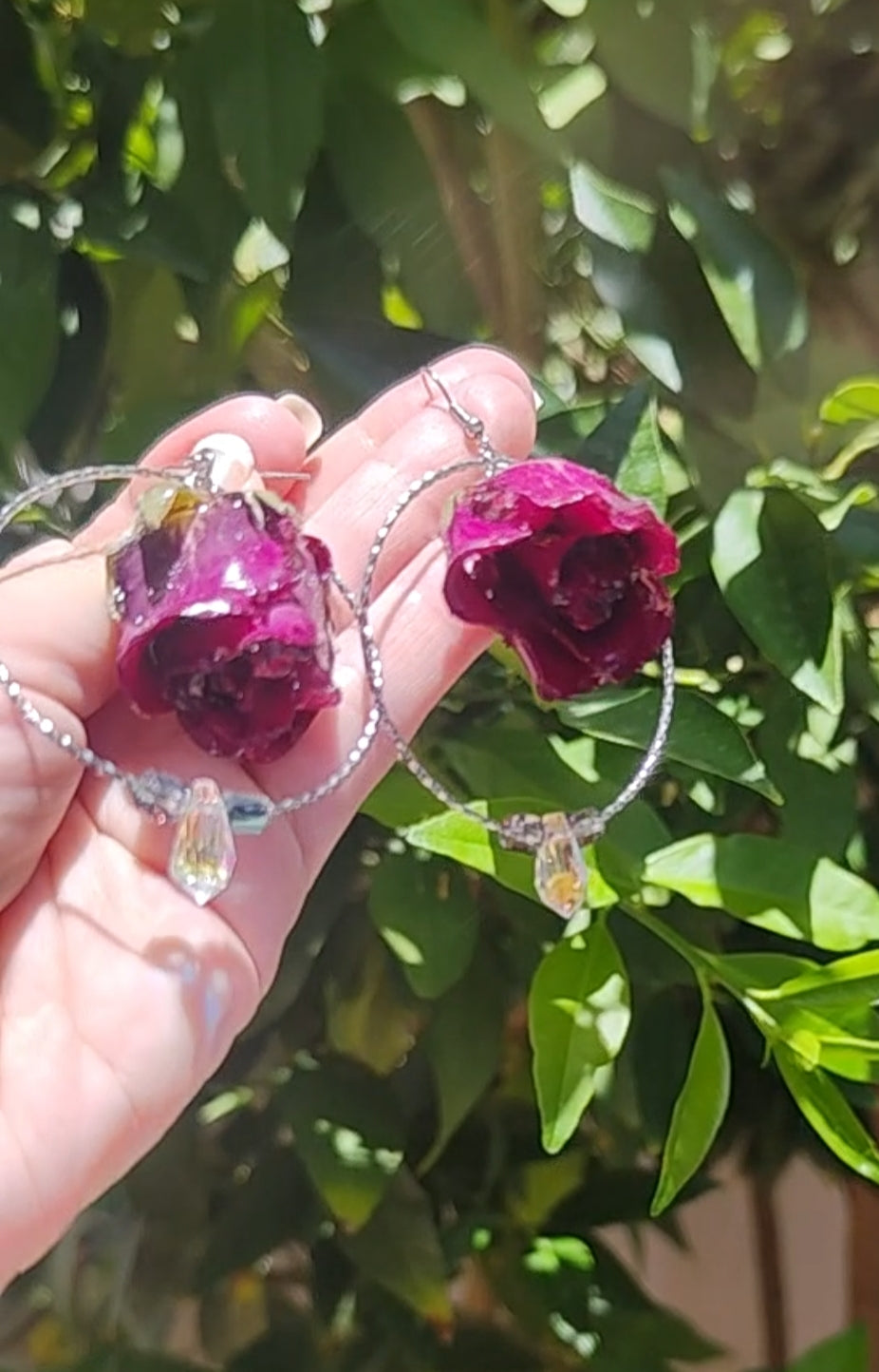 Pendientes de rosas reales resinadas