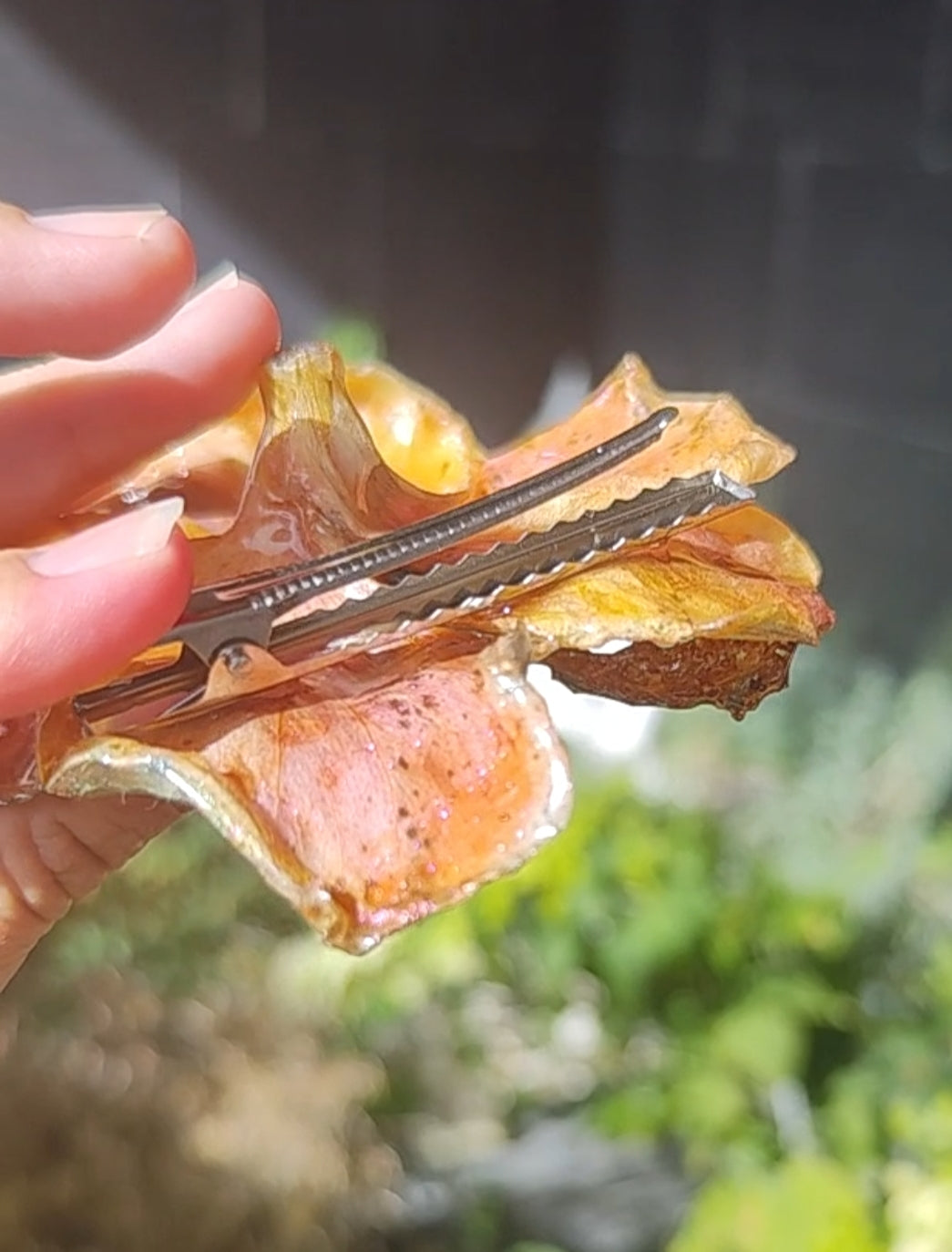 Clip de pelo con flor real, hibisco naranja y verde, pasador artesanal de resina, accesorio floral para el cabello, regalo original