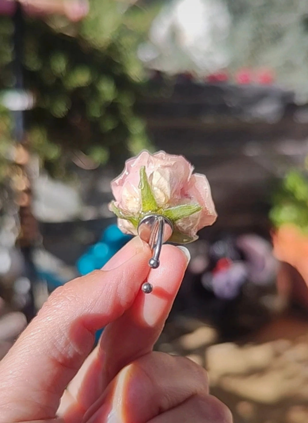 Anillo de rosa real resinada