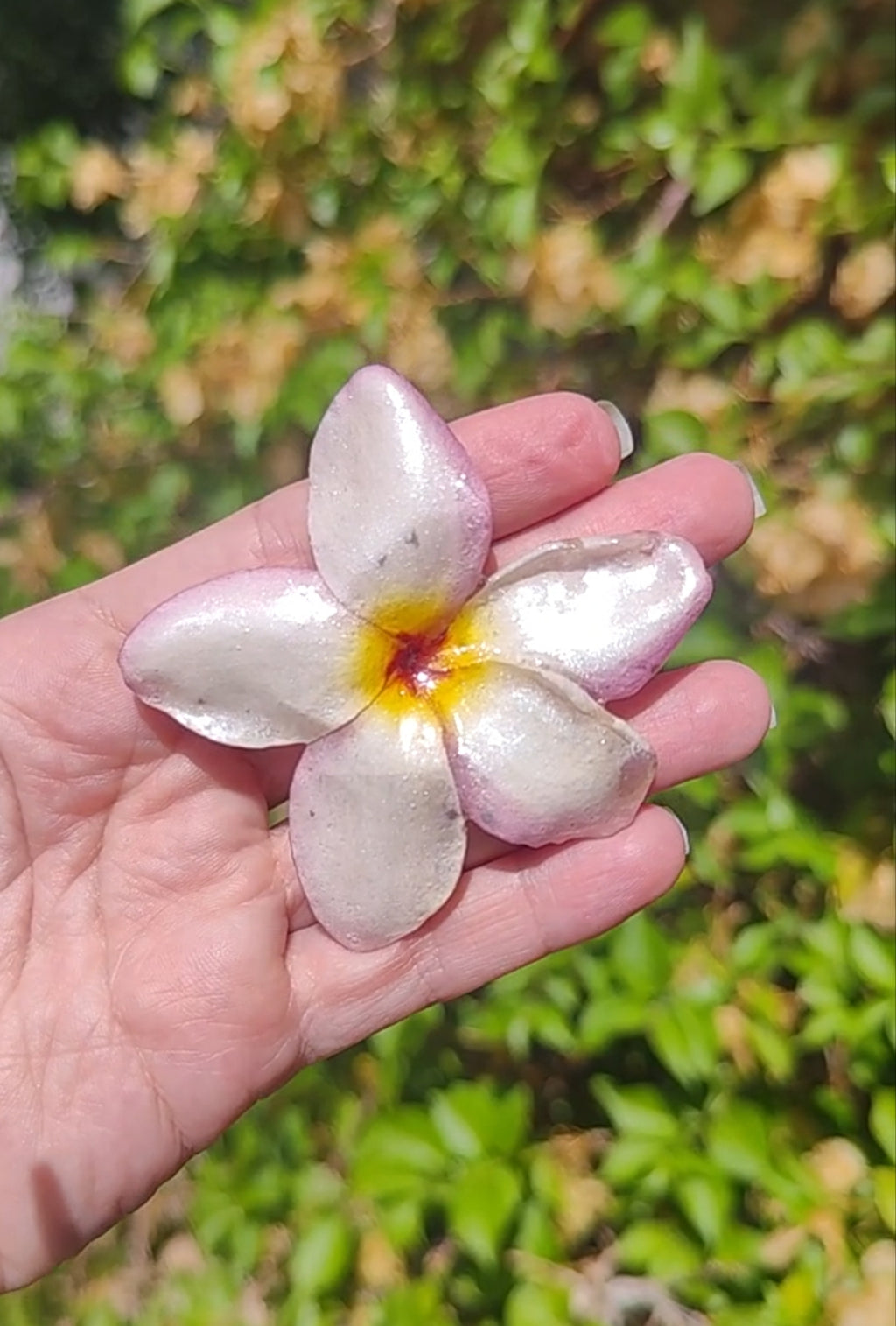 Clip de pelo de flor de mayo o plumeria en resina