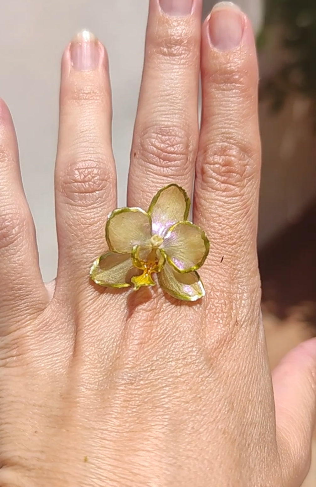 Anillo de orquídea real resinada