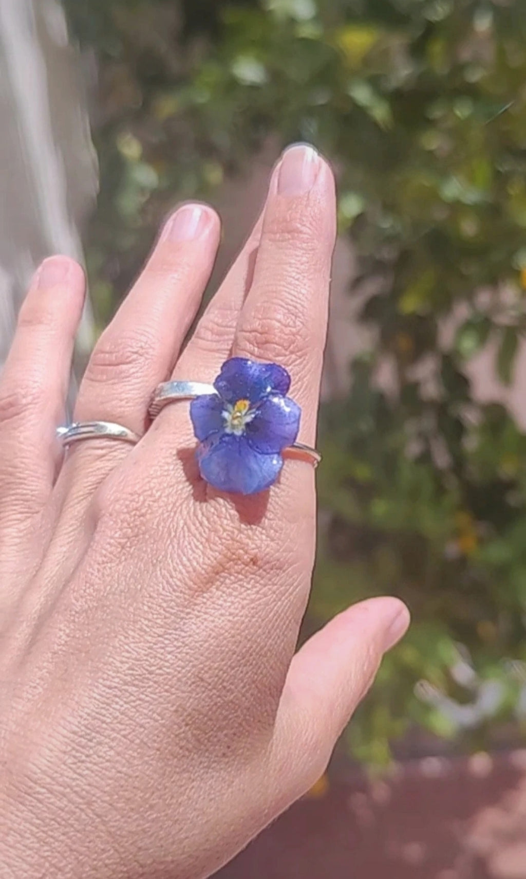 Anillo de pensamiento real resinado