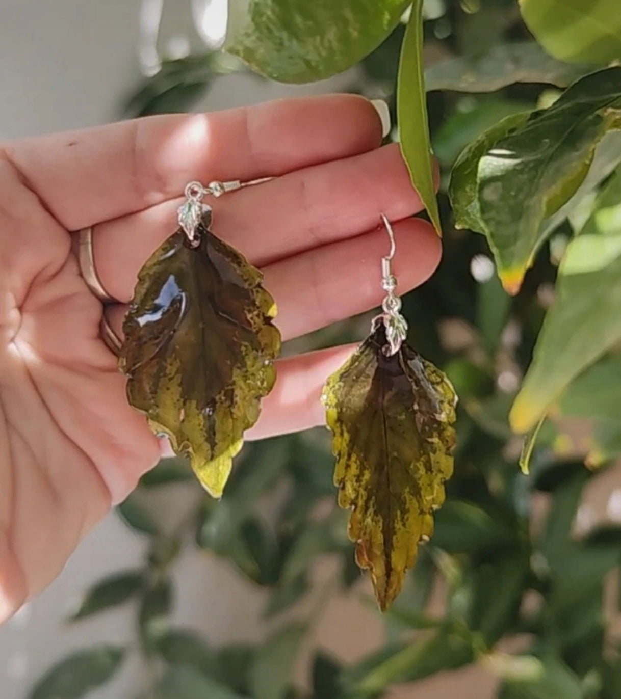 Pendientes colgantes artesanos. Hojas reales de coleo preservadas con enganche hipoalergénico