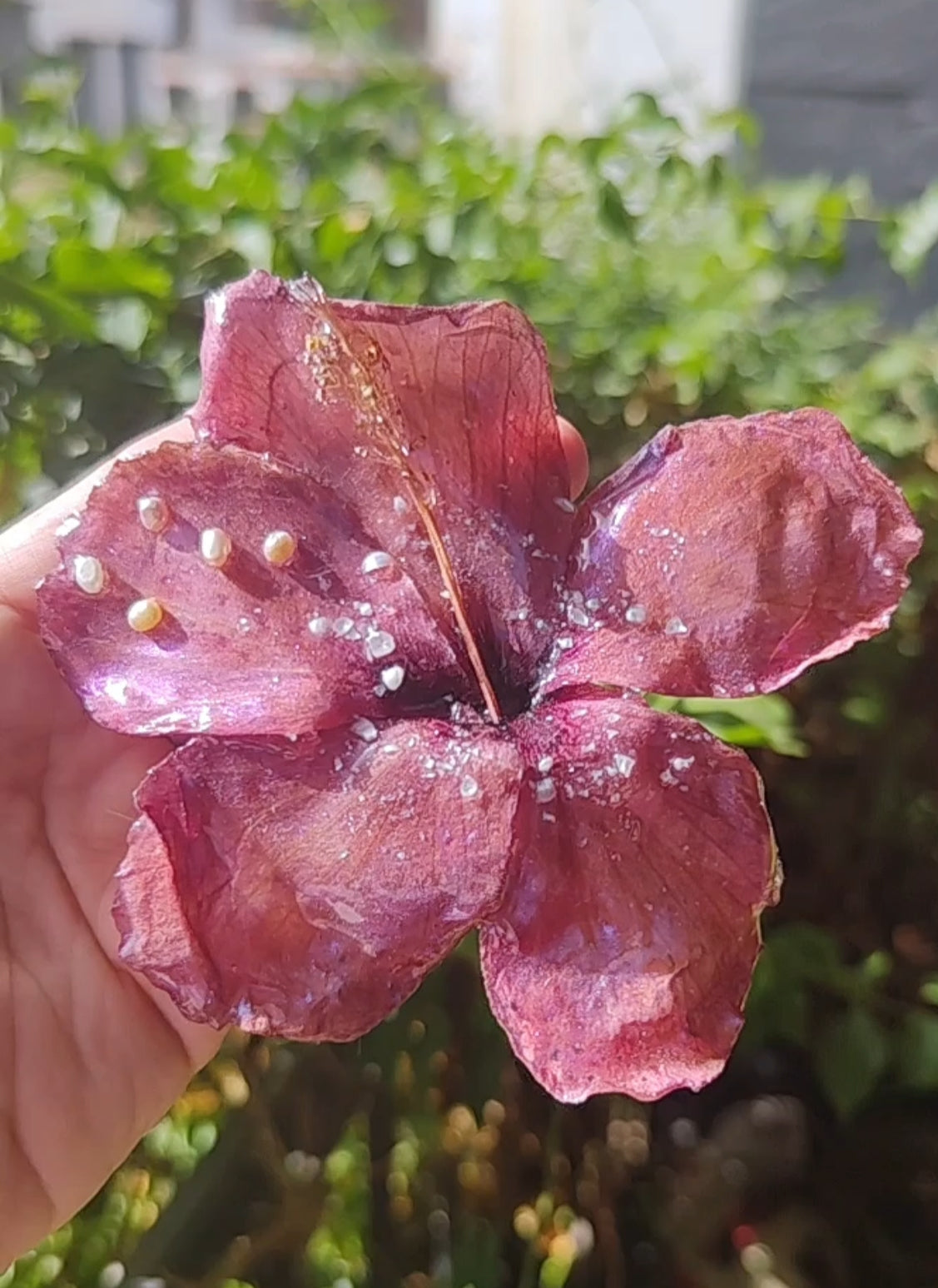 Pasador de Pelo con Flor Real, Hibisco Rojo y Perlas Naturales, Clip Artesanal de Resina, Accesorio Floral para el Cabello, Regalo Mujer