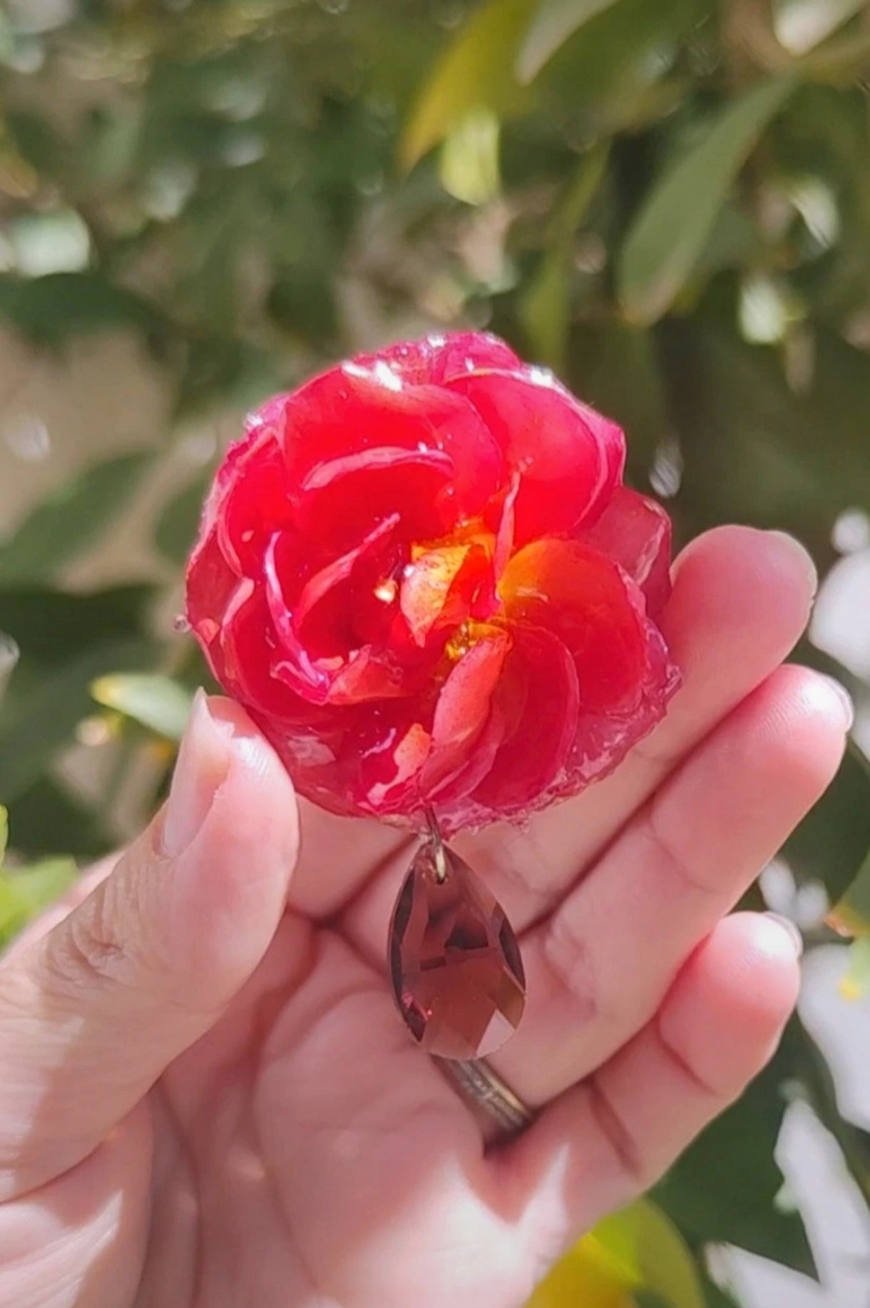 Pendientes de rosas reales resinadas