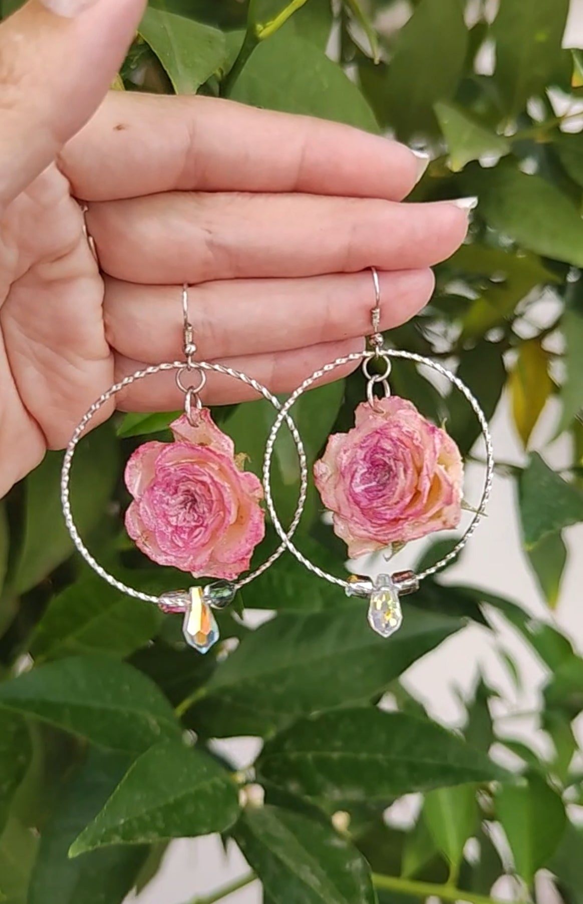 Pendientes de rosas reales resinadas