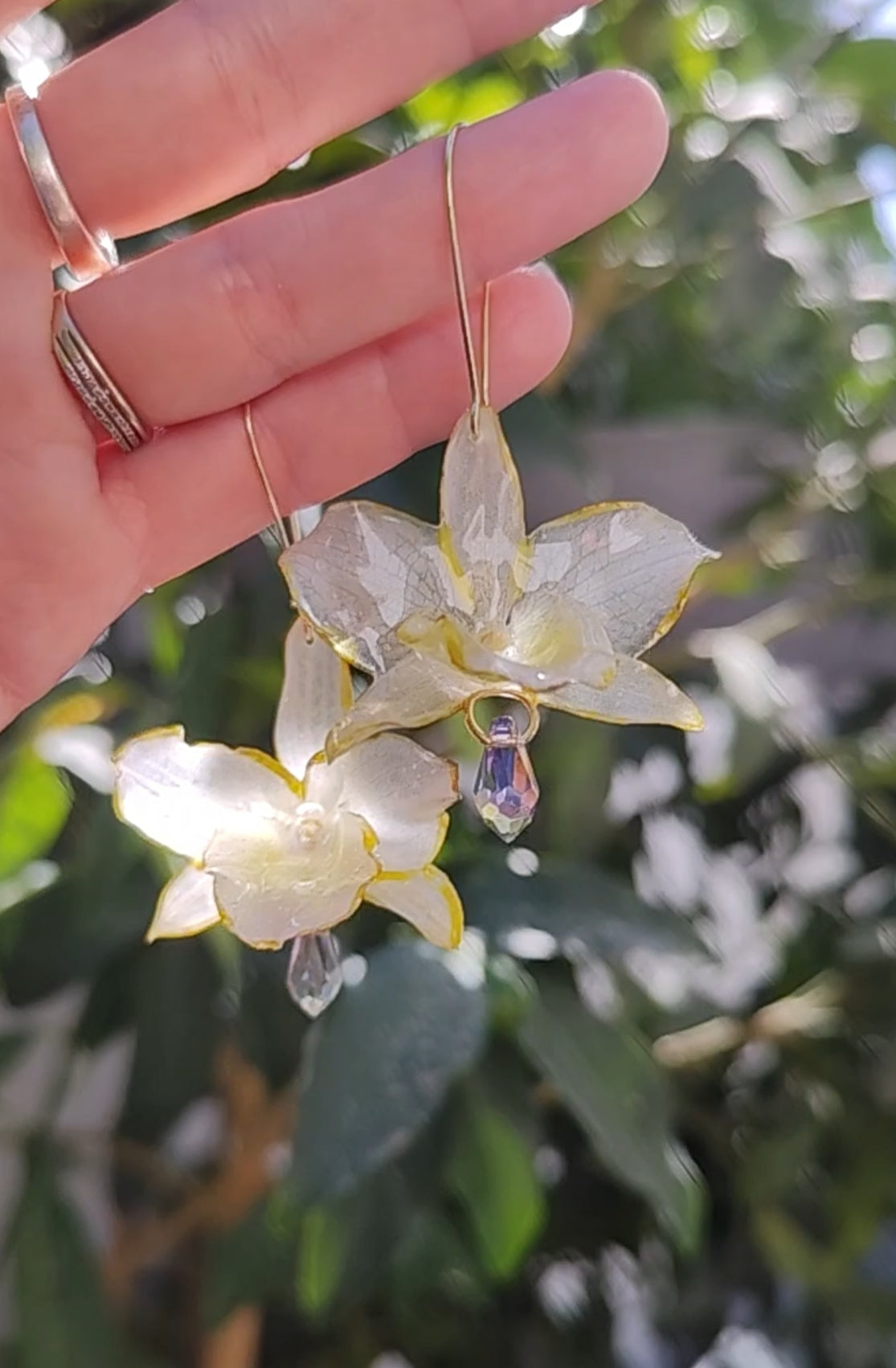 Pendientes de orquídea dendrobium blanca hechos a mano, en acero inoxidable · Flores naturales con bordes dorados · Lágrimas de cristal facetado