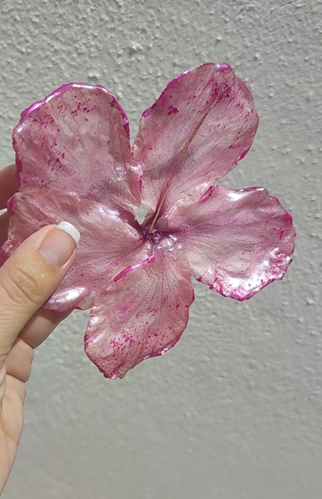 Clip de pelo de hibisco real en resina. Horquilla de pelo de hibisco auténtico. Accesorios para el pelo. Accesorio floral boho para cabello, ideal para bodas, verano y estilo.
