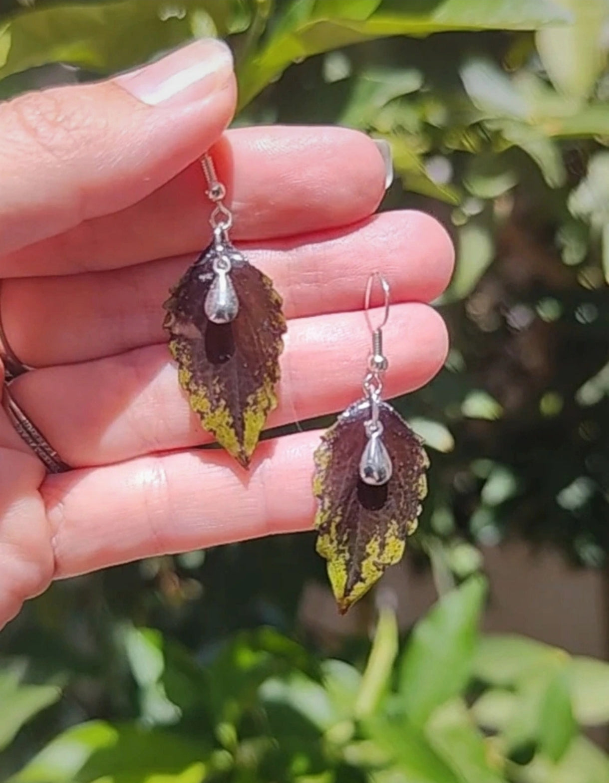 Pendientes originales con hojas auténticas de planta coleo pequeñas. Regalo pendientes con flores reales