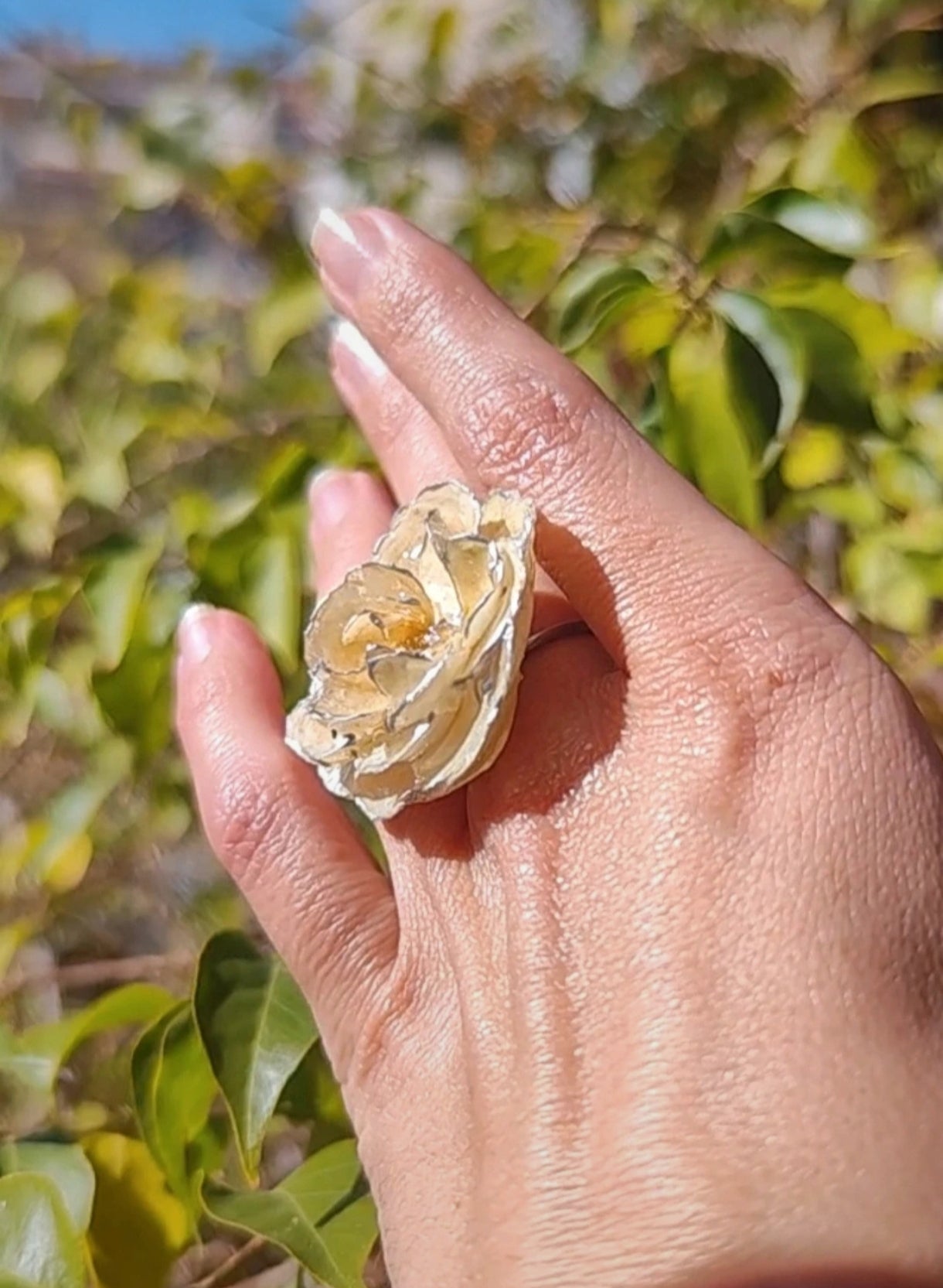 Anillo de rosa real resinada