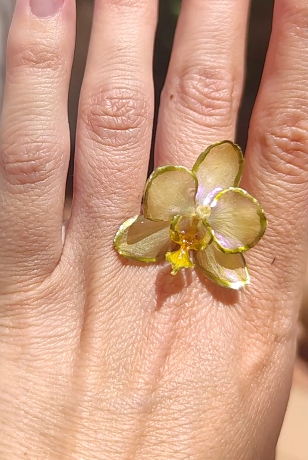 Anillo de orquídea real resinada