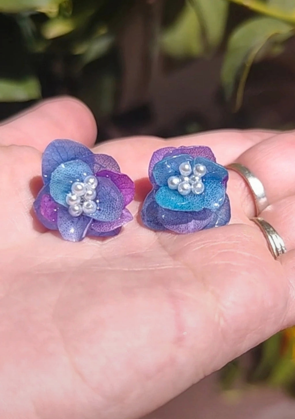 Pendientes de hortensia bicolor real resinada