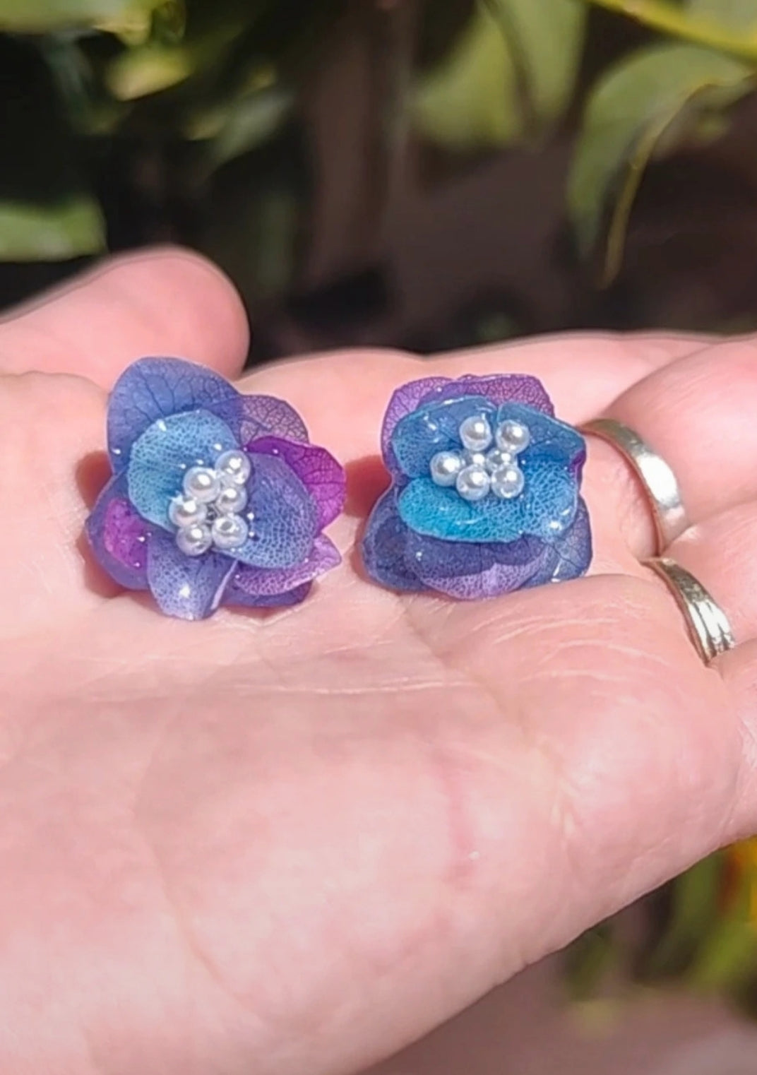 Pendientes de hortensia bicolor real resinada