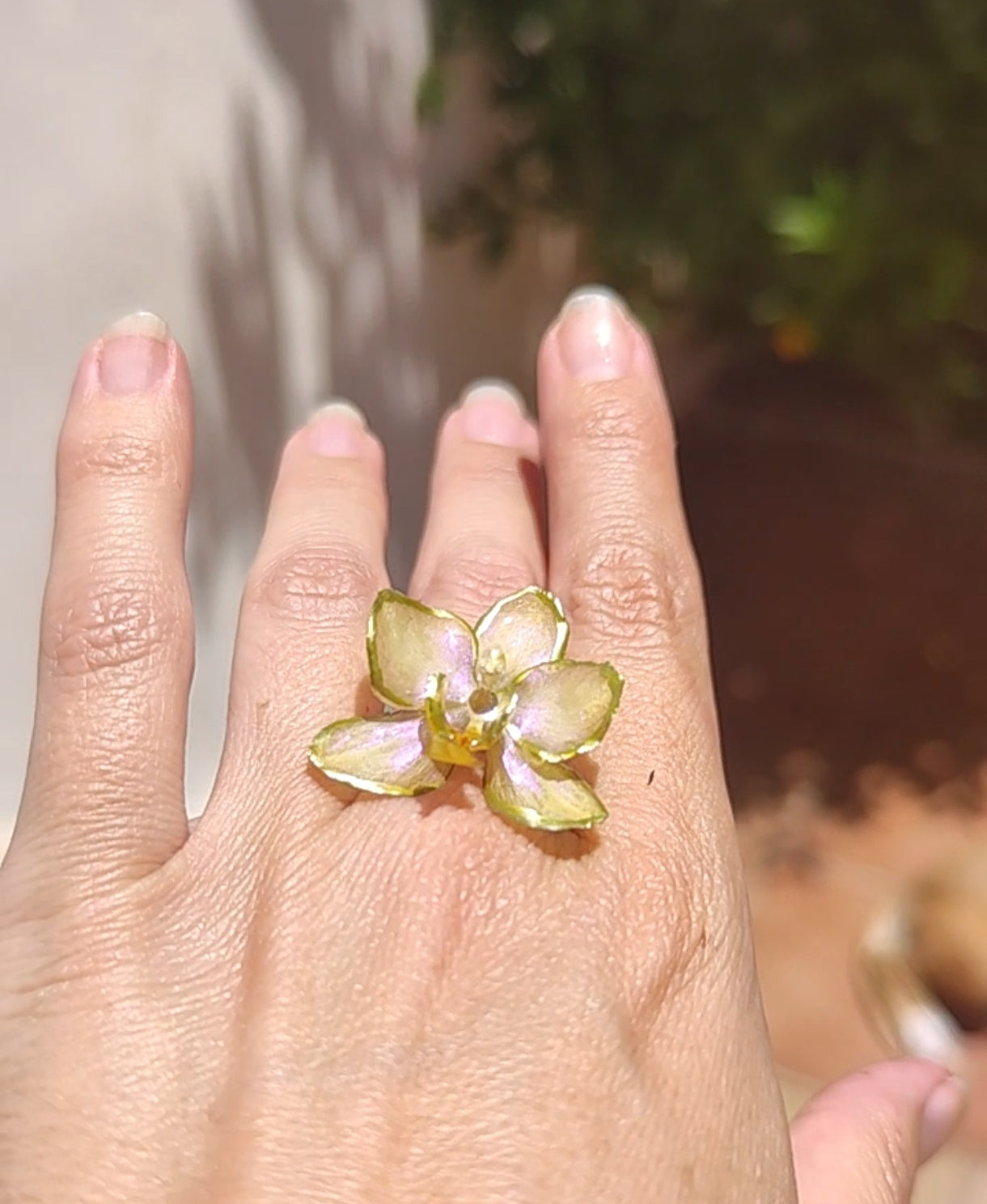 Anillo de orquídea real resinada